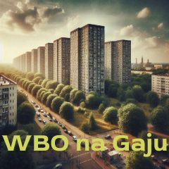 Wrocławski Budżet Obywatelski 2024